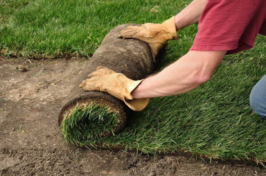 Person rolling out fresh sod to create a lawn