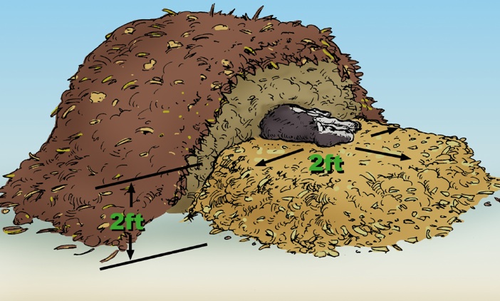 Cross Section of a Static Mortality compost pile