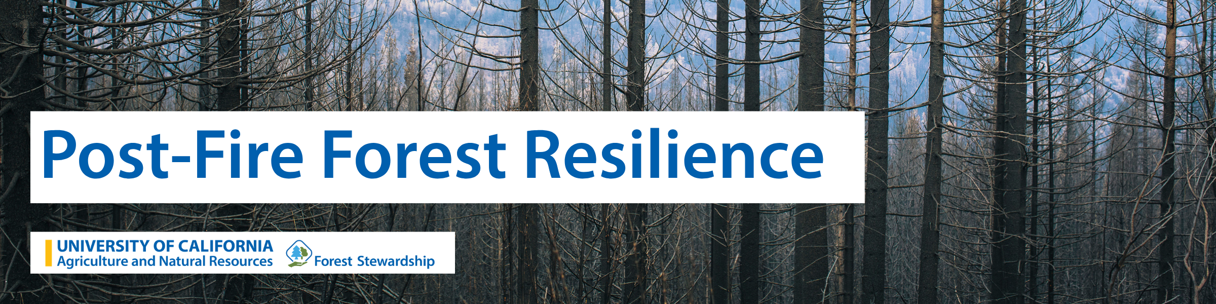 The text "Post-Fire Forest Resilience" is in front of a burned forest. 