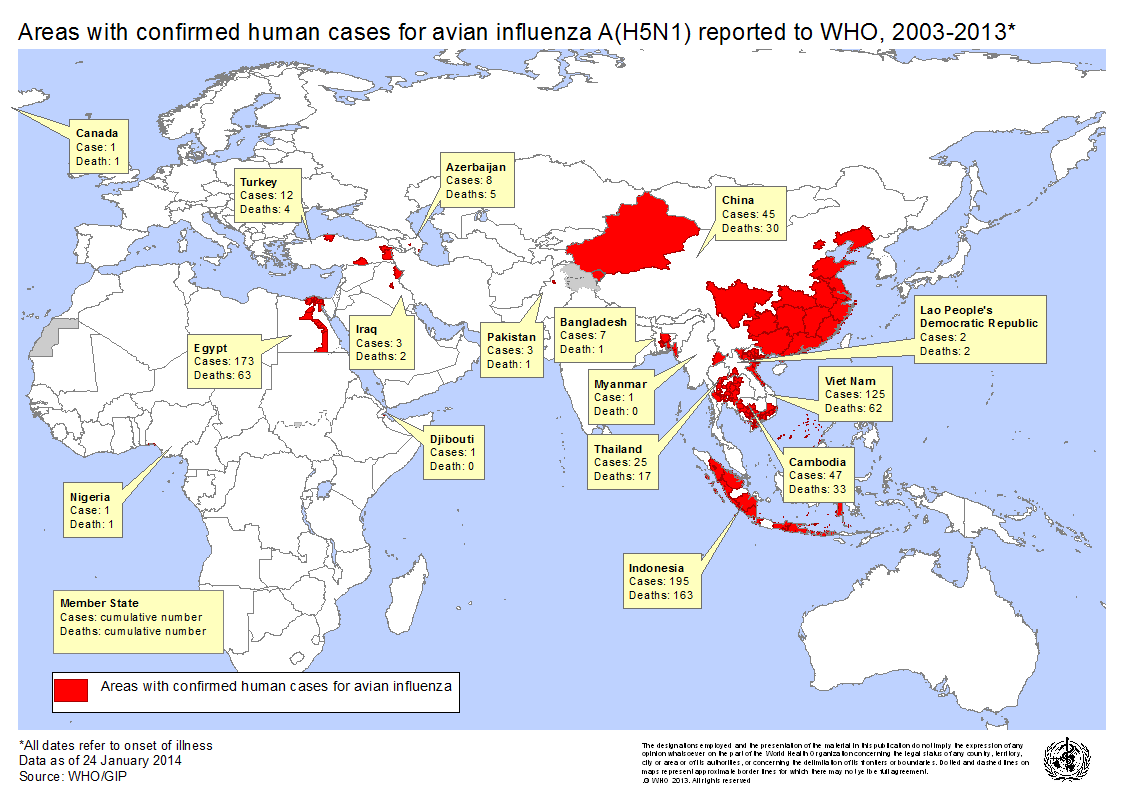 influenza virus h5n1