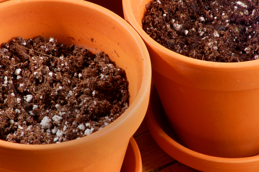 Ceramic pots full of potting soil