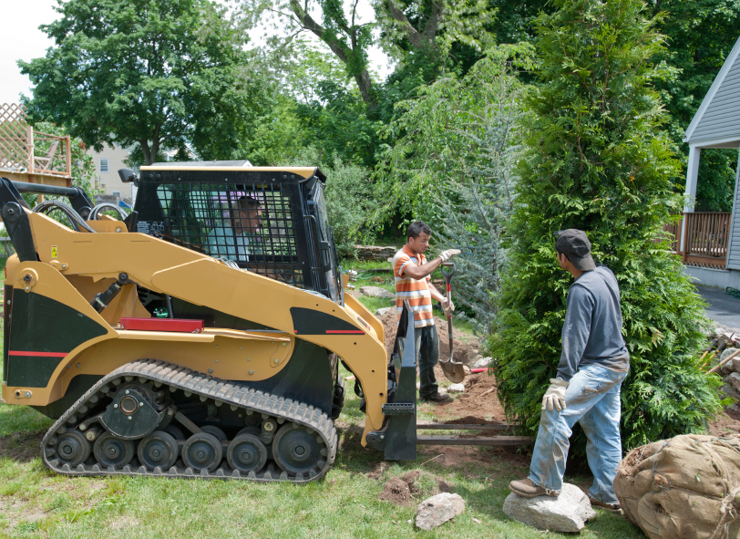 Landscapers back-filling soil around a newly-planted tree