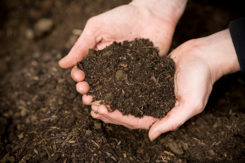 Hands holding finished compost