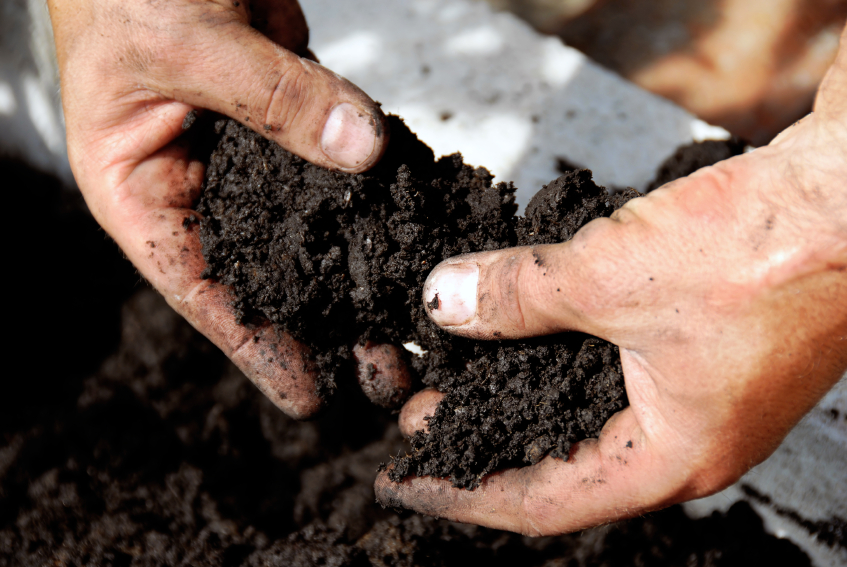 Hands squeezing compost to check moisture content