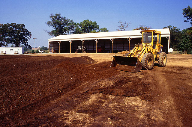 Compost windrows on a compacted soil pad